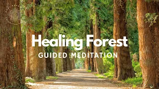 Healing In The Enchanted Forest, Binaural Guided Meditation