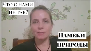 Куда столько выпечки? У нас будет землетрясение??? Мысли вслух...