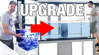 Vom Nano zum XXL Aquarium!