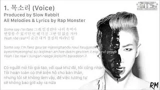 [BangTanSodamn][Vietsub] Rap Monster - 목소리 (Voice)