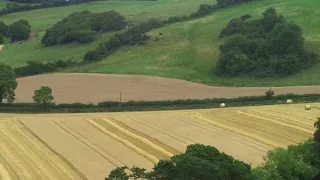 Harvest Time in Co. Laois (Ireland) 6 August 2018