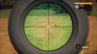 INSANE! One shot deer!