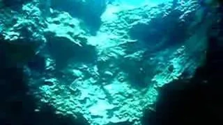 Free Diving "Five Caves"