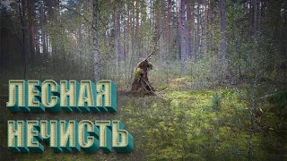 СЛЕДЫ ЛЕСНОЙ НЕЧИСТИ. Таинственная Россия