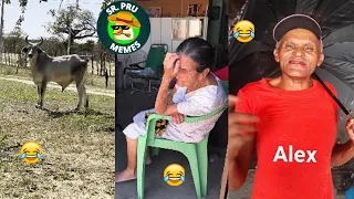 Os Vídeos + Engraçados do Whatsapp 2023! Tente Não Rir #129 - Whatsapp Memes Br