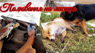 Полювання на Лиса 2021 Fox Hunting 🦊