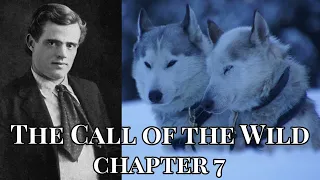 The Call of the Wild by Jack London - Chapter 7 Audiobook (1903)