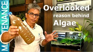 Aquarium Algae Control | Removing organic detritus for algae control| Algae Control Part 3