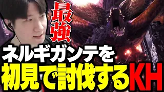 初めてのモンハンでネルギガンテを初見で討伐するKH【MHW】