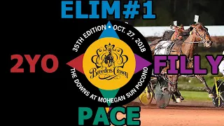 2018 Breeders Crown Elim#1 - St Somewhere - 2YO Filly Pace