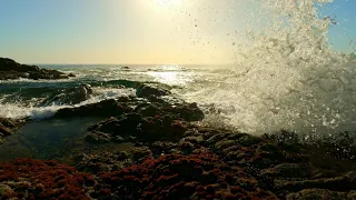 Peaceful & Calming Ocean Waves up close @ Low Tide - Soberanes Pt, Garapata SP, Big Sur, CA #60