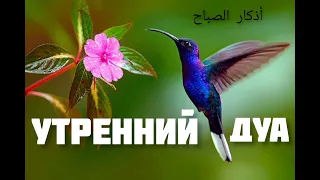 утренний дуа защищает вас весь день