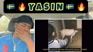 YASIN “Pistoler Poesi och Sex” CEO AI Reaction