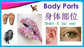 Body parts name in Chinese language (身体部位)