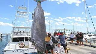 Amazing Fastest Giant Black Marlin Fishing Skill - Amazing Biggest Swordfish Catching on The Sea