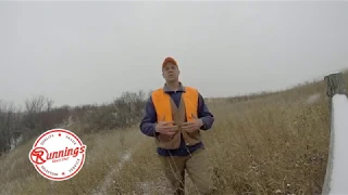 The Run Down: Late Season Pheasants