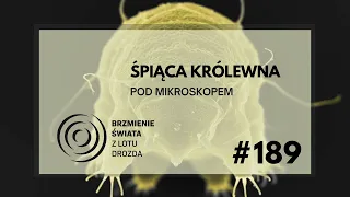 #189 - O niesporczakach, cyjanku i Królewnie Śnieżce (gość: prof. Łukasz Kaczmarek)