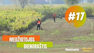 Šernų medžioklė kukurūzuose! Medžiotojos dienoraštis #17