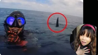 6 Shark Encounters That Will Haunt You Forever/ Reaction