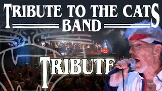Tribute to the Cats Band (Our Tribute to the band with Kees Plat)