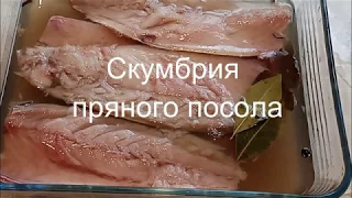 Как вкусно засолить скумбрию. Скумбрия пряного посола и Балык из скумбрии