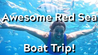 Paradise Island Hurghada Egypt Red Sea Adventure!  Boat Trip and Snorkeling Giftun Island