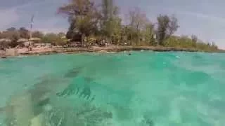 Cuba Bahia de Cochinos - snorkeling