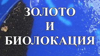 Поиск золота, проба метода биолокации.