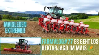 FarmVlog#77 🌽Maislegen EXTREM!!! / Es geht los mit der Hektarjagd🌽