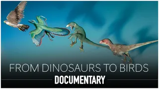 From Dinosaurs to Birds: The Remarkable Evolutionary Journey Unveiled | Dinosaur Documentary