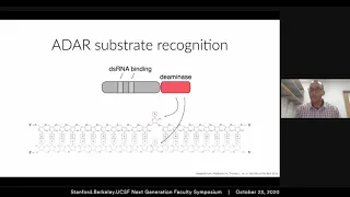 RNA editing with CRISPR-Cas13