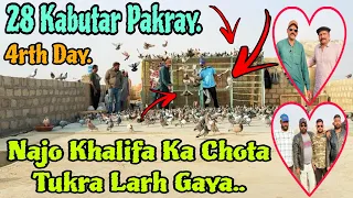 28 Kabutar Pakray || Larriyan ka 4rth Day || Abid Khalifa V/S Najo Khalifa.. 😲