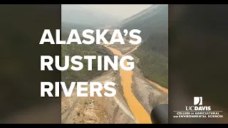 Alaska's Rusting Rivers: The Alarming Impact of Permafrost Thaw on Arctic Rivers