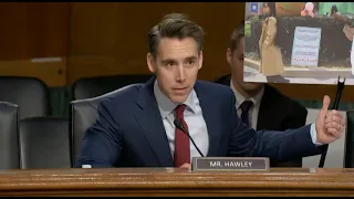 Hawley Puts Witnesses On Record Over Anti-Israel Protests: 'Shouldn't We Be Deporting These People?'