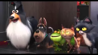 The Secret Life of Pets  Sneak Peek  Kevin Hart, Lake Bell Animated Movie HD