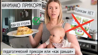 Начинаю прикорм / Педагогический прикорм / еда со стола / ввожу сразу кусочки /прикорм в 5,5 месяцев