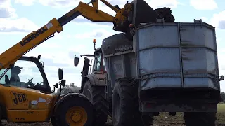 ✔Ciągnik który jeździ sam!?Czyli wrześniowe rozrzucanie obornika w Wielkopolsce!Valtra,JCB&Renault✔