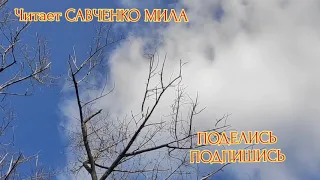 Михаил Лермонтов - Тучи: Стих Читает САВЧЕНКО МИЛА