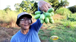 CONHEÇA A HISTÓRIA DE VIDA E SUPERAÇÃO  E AS  LUTAS DE DONA TOINHA