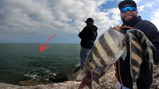 Jetty Fishing for Sheepshead EZ LIMIT! *Port Aransas Jetties(Catch and Cook)