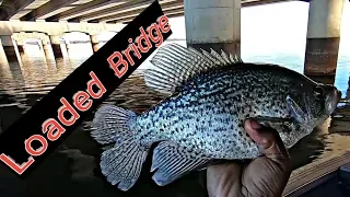 How To Find Crappie Under Bridges in Winter