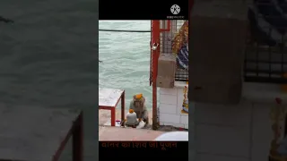 Mahakumbh 2021, Har Har Ganga Ma Darshan, Haridwar (Uttarakhand), Har ki pauri , Siya Ram Ghat.