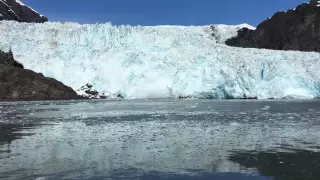 video of kenai fjords glacier calving