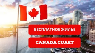 Как получить бесплатное жилье в Канаде в аэропорту | Winnipeg, Manitoba, Canada