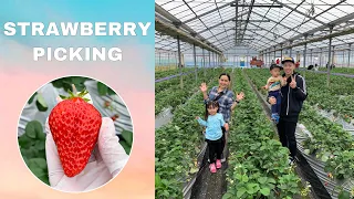 STRAWBERRY PICKING in Japan | IT TASTE SO SWEET DURING WINTER SEASON | The Tanaka Fam🇯🇵🇵🇭