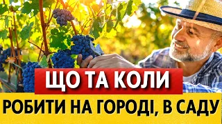 У ЖОВТНІ 2023. Місячний календар городника та садівника на жовтень 2023