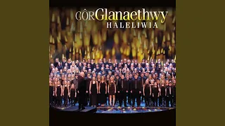 Haleliwia Hallelujah