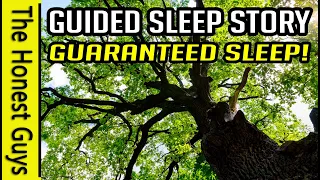 "The Great Oak" Guided Sleep Story Meditation (The Haven Series)