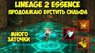 Продолжаю бустить сильфа в Lineage 2 Essence.