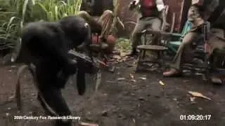 Ape With AK-47.flv
